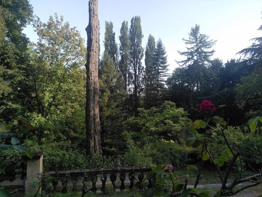 Vila Magnifiques Ecuries Juste Renovees - Domaine De La Mulotiere Langeais Exteriér fotografie