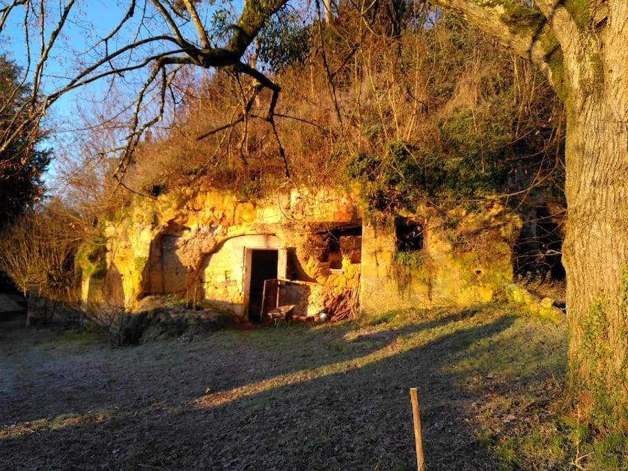 Vila Magnifiques Ecuries Juste Renovees - Domaine De La Mulotiere Langeais Exteriér fotografie